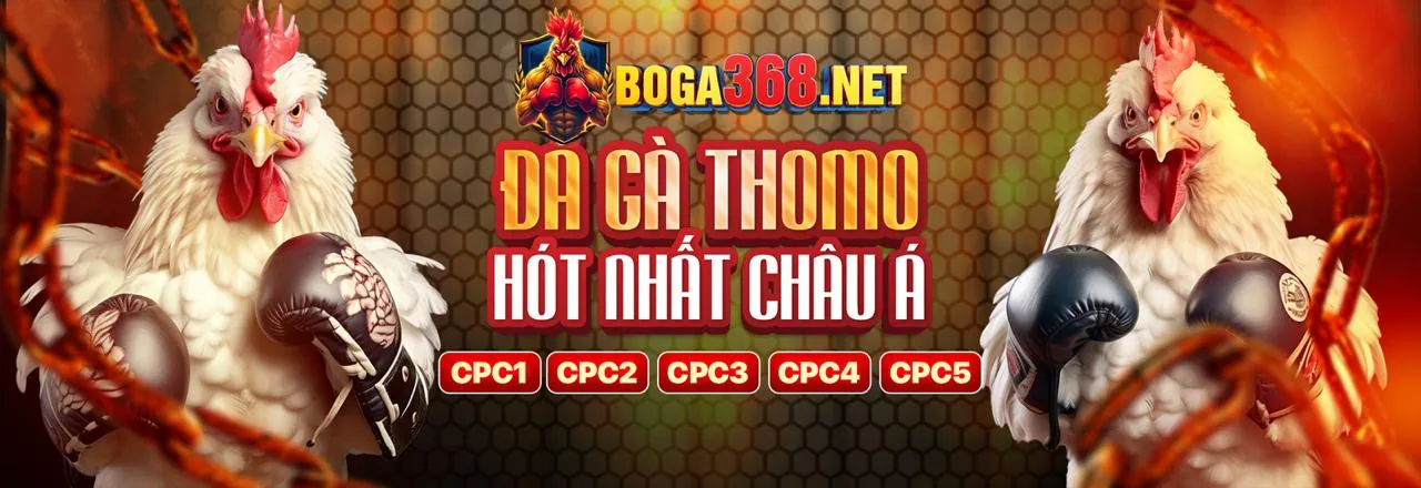 Đá Gà Trực Tuyến 98win01 Link Mới